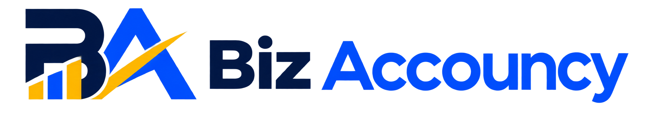 Biz Accouncy